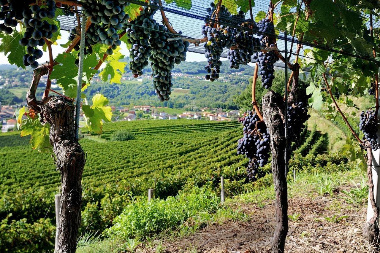 Conca Bella Boutique Hotel&wine Experience Hotel Vacallo
